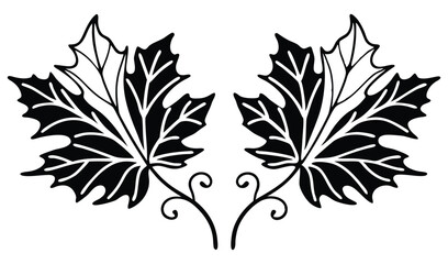 Two maple leaves with decorative swirls isolated on white background