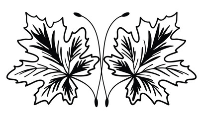 black and white flowers