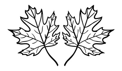 oak tree leaves
