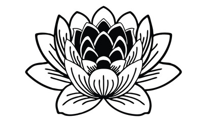 vector illustration of lotus flower