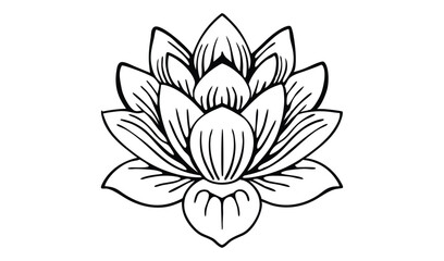 vector illustration of lotus