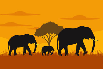 Fototapeta premium elephants in the sunset