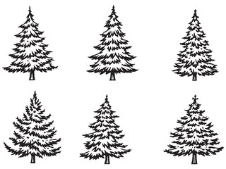 Christmas Fir Tree Line Drawing Illustration