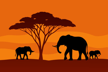 Fototapeta premium elephants on the sunset