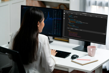 Software development programming on computer screen for brisk application and program coding