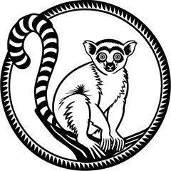black and white cat