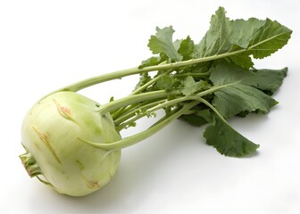 Single fresh green kohlrabi isolated on clean white background