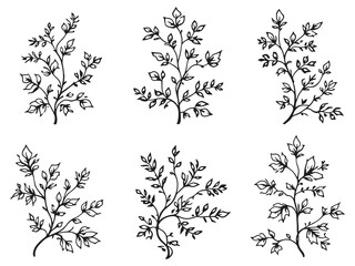 Simple Ivy Branch Vector Art
