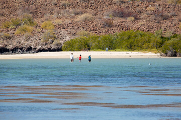 PLAYAS DE MULEGE BAJA CALIFORNIA SUR MEXICO