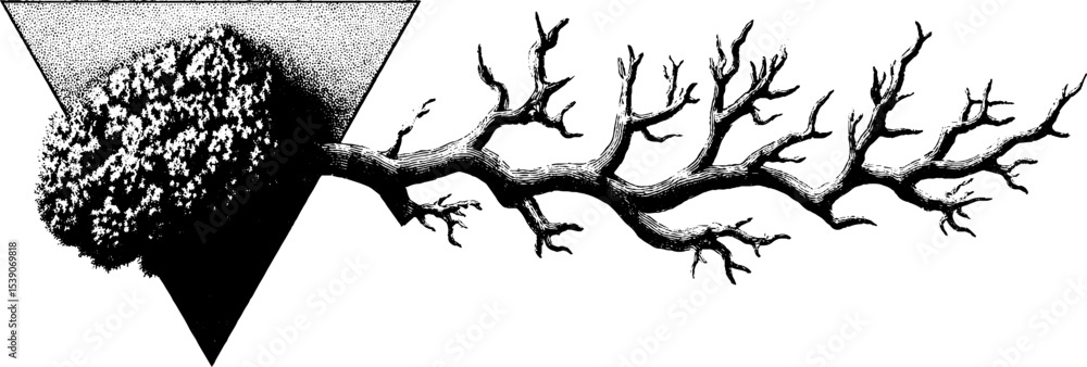 Poster abstract nature design featuring moss patch and curling root in geometric style for artistic project