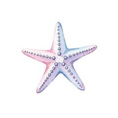 Starfish in watercolor, isolated on white background.