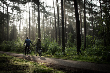 Two people cycle side by side on a shaded path in a beautiful pine forest, with the morning or...