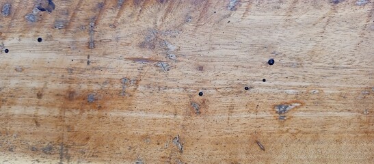 Rustic Weathered Wood Surface with Insect Hole Details
