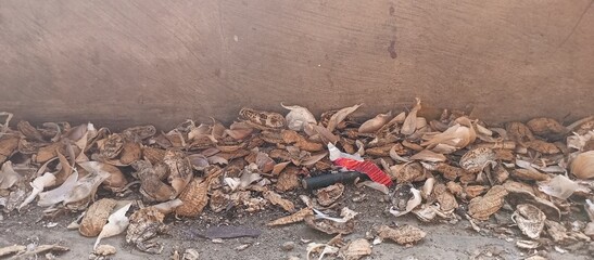 Scattered Dried Organic Husks and Earthy Debris