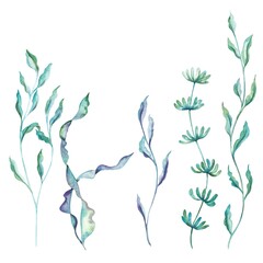 Fototapeta premium Isolated sea watercolour bright illustration 