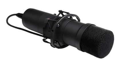 Black Studio Condenser Microphone Isolated White Background
