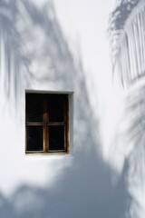window on white building with botanical shadows