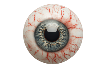 Monster eyeball with veins isolated on a transparent background