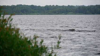 Nature, wide Volga, waves on the river