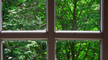 View of the green forest through a wooden window. A sunny summer day