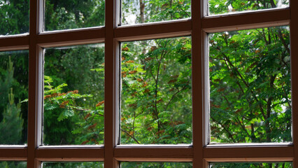 View of the green forest through a wooden window. A sunny summer day