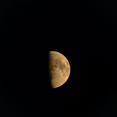Moon in a half phase glowing in the night sky over a dark landscape