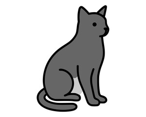 black cat isolated on white