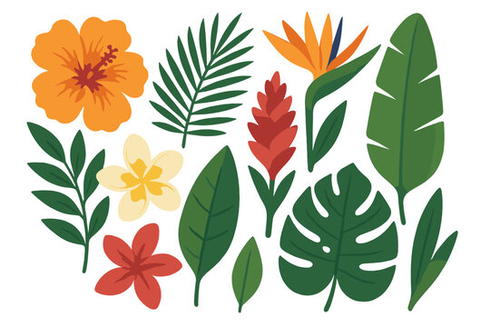 Vector flat illustration of a vibrant summer collection, including palm and banana branches, exotic flowers, and tropical leaves like plumeria, isolated on a white background