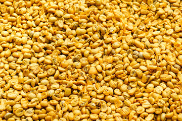 Close-up view of yellow coffee beans drying under the sun at a Vietnamese coffee processing facility