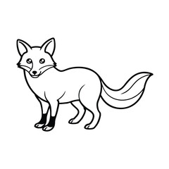 Fototapeta premium vector illustration of a fox