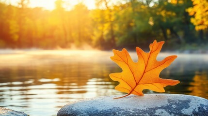 Vibrant Autumn Leaf on Rock by Calm Water at Sunrise
