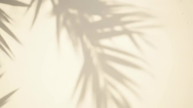 Warm Palm Leaf Shadow Overlay on Wall: Aesthetic Sunlight & Summer Tropical Background Animation for Product Display or Spa. 4K
