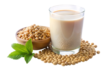 glass of soy milk with soybean isolated image on transparent