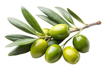 green olives with leaves on a branch isolated image on transparent background