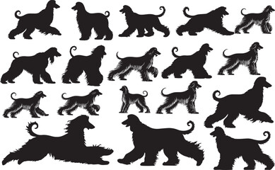 Afghan Hound Silhouettes