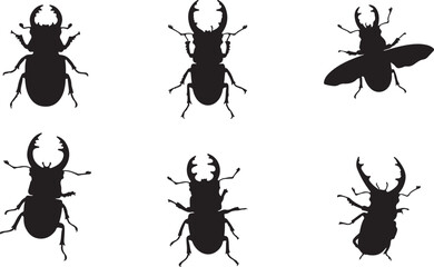 Beetle Silhouettes