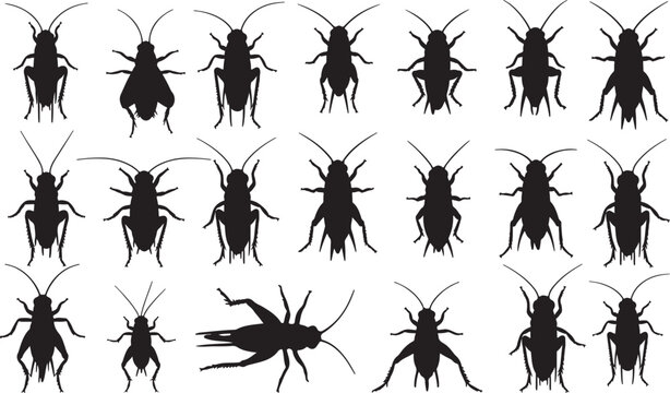 Cricket Silhouettes