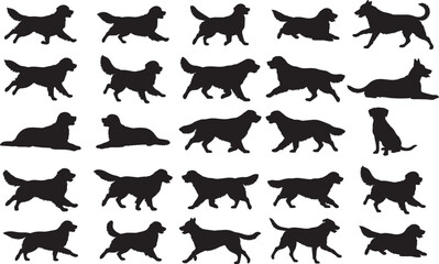 Golden Retriever Silhouettes