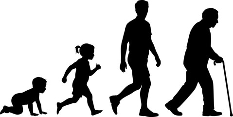 Stages of life human aging process from baby to adult to senior silhouette vector illustration 100 years editable stock vector illustration