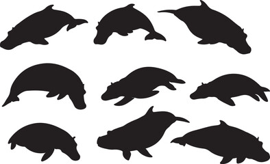 Hippocampus Silhouettes