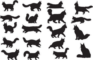 Maine Coon Silhouettes