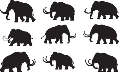 Mammoth Silhouettes © Qasim Farooq