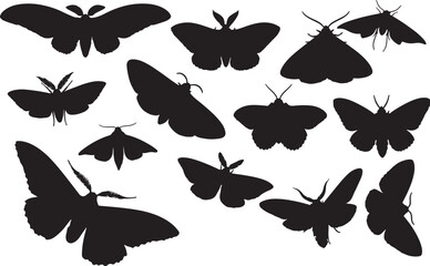 Moth Silhouettes