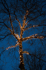 Beautifully illuminated tree decoration at a christmas market in Germany