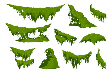 Creeping lichen. Hanging jungle moss, swamp green moss plants flat vector illustration set. Cartoon rainy forest flora on white