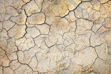 Brown background of dried clay soil with deep cracks at sunset. Barren land without water....
