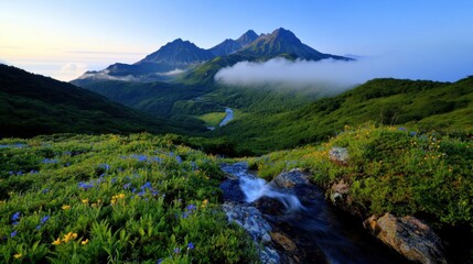 Obraz premium Dramatic mountain peaks rise above a lush valley filled with vibrant wildflowers. A gentle stream flows through the greenery as the sun begins to rise, illuminating the scene