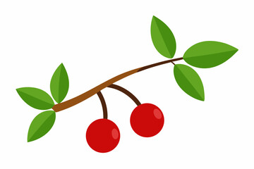 Two cherries on branch with green leaves illustration