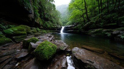 Water flows gracefully over rocks into a calm pool, framed by vibrant green foliage and towering trees. The peaceful setting is enveloped in mist, enhancing its natural beauty and tranquility