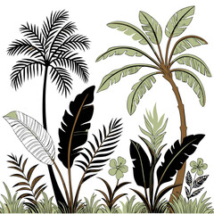 Tropical vintage botanical palm trees, banana tree, green plants floral seamless border white background. vector	